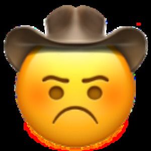 Meet your Posher, Ava